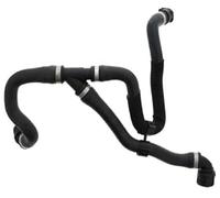 Clynex 17127596839 Tuyau de réservoir d'eau Radiateur Descente, for, F20F30 F35 125i 320li 328li Tuyau de radiateur pour moteur automobile