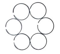 Clynex 6 pièces 48mm segments de Piston Double anneau Type de Piston for 365 remplacement de tronçonneuse