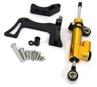 Clynex Kit d'amortisseur de stabilisateur Scooter électrique, for Dualtron, Thunder, 2 LL, Accessoires, Direction Anti-Vibration et Anti-gigue Amortisseur de Direction pour Scooter(Black C Set)