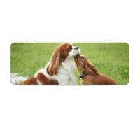Cmagnifico Trousse à crayons, Cavalier King Charles SpanielCreative Simple Papeterie, 19,5 x 7,1 x 2,7 cm, Style :, Taille unique, Trousse à crayons