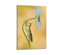 CMHONLY Poster mural moderne sur toile représentant une marguerite grimpant sur une tige de rosée - 30 x 45 cm - Style cadre