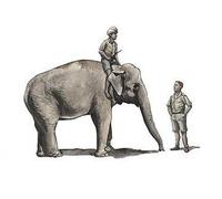 CMK 129-F48345 - 1:48 WWII Raf Mechanic IN India + Elephant Avec Mahout - Neuf