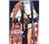 Sheryl Crow : C'Mon America 2003