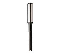 CMT 102.240.31 MECHE A MORTAISER D=24X125 Z=2 S=16X50 SP DR.