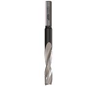 CMT 160.160.31 MECHE A MORTAISER D=16X100 Z=2 S=13X50 HSS DR.