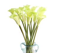 CN-Knight 10pcs Fleur Artificielle 67cm Longue Tige Calla Lily PU Faux Arum pour Mariage Bouquet de Mariée Demoiselle d'honneur Décoration de la Maison Bureau Centre de Table,Vert