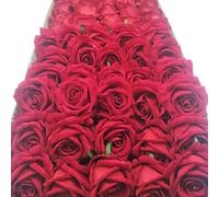 cn-Knight Lot de 20pcs Roses Artificielles en Velours et Soie Avec Tige en Fil de Fer 25,4cm Pour Bouquet de Mariage,Décoration D'intérieur,Décoration Murale(Rouge)