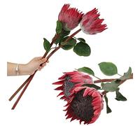 Cn-Knight Lot de 4 fleurs de Protea artificielles à tige super longue pour décoration d'intérieur, centre de table, artisanat, bouquet de mariage (rouge) 66 cm