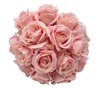 cn-Knight Lot de 50 roses artificielles en velours de soie avec tige métallique pour bouquet de mariage, décoration d'intérieur, 25,4 cm (champagne)
