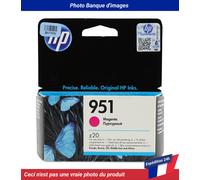 951 - 8 ml - magenta - original - cartouche d'encre - pour Officejet Pro 251, 276, 8100, 8600, 8600 N911, 8610, 8615, 8616, 8620, 8625, 8630, 8640