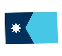 CNAFGBGG Drapeau de l'État du Minnesota 3x5 Pieds Drapeau du Minnesota Polyester MN State avec œillet en Laiton MN pour Discours Parade Party événement Sportif ..