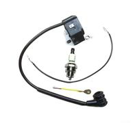 CNANRNANC Bobine d'allumage pour BR320 BR340 BR380 BR400 BR420 SR320 SR340 SR400 SR420 Part 4203 400 1301 1302