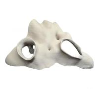 CNANRNANC Terrarium d'angle pour aquarium - Imitation racine de mangrove - Aspect naturel - Blanc - S