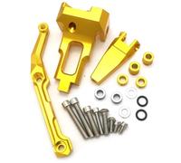 CNC D'amortisseur Kit Montage Amortisseur Direction Moto pour Yamaha MT-09 MT 09 MT09 2015-2017 Amortisseur Support Stabilisateur(Ensemble 9)