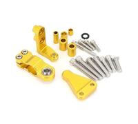 CNC D'amortisseur Support Montage Amortisseur Direction Moto pour Aprilia RS660 RS 660 2021 2022 2023 Kit Support Adaptateur Butée Amortisseur Support Stabilisateur(Ensemble 12)