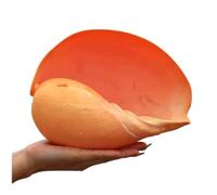 CNDBAHHE Grands Coquillages Marins, Coquillage Naturel, Grands Coquillages naturels de 8 à 13 cm for la décoration et Le Bricolage(8~10cm)