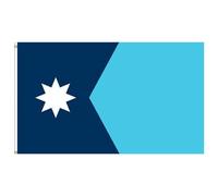 Cndiyald Drapeau de l'état du Minnesota 3x5 Pieds, Drapeau de l'état du MN en Polyester avec œillet en Laiton pour événement Sportif fête défilé Discours