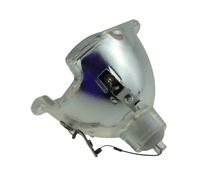 CNJWBGCJ Accessoires de de Projection adaptés for BENQ 5J J2N05.011/BL-FS300C SP840 D963HD D965 for projecteur OPTOMA TH1060P TX779P-3D des pièces de rechange(5J.J2N05.011-CB)