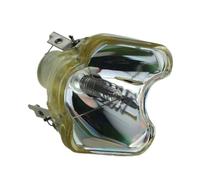 CNJWBGCJ Accessoires de projection compatibles avec POA-LMP55 / 610-309-2706 PLC-SU55 PLC-XE20 PLC-XL20 XT15KS XT15KU XU25 XU2510 XU47 XU48 des pièces de rechange(POA-LMP55-CB)