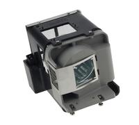 CNJWBGCJ Ampoule de projecteur adaptée aux projecteurs OPTOMA BL-FU310A/FX.PM484-2401 X501 W501 EH501 EW420 HD151X HD36 des pièces de rechange(BL-FU310A-CBH)