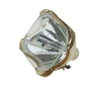 CNJWBGCJ Ampoule de projecteur adaptée for Sony LMP-H202 LMP-H201 VPL-HW30AES HW30ES HW50ES HW55ES VW95ES HW30 SXRD HW40ES des pièces de rechange(LMP-H202-CB)