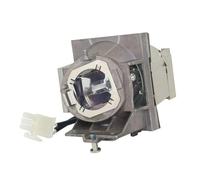 CNJWBGCJ Ampoule de projecteur de remplacement RLC-124, avec boîtier, adaptée à Viewsonic PG707X, 1 pièce des pièces de rechange(RLC-124-CBH)