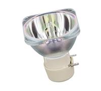 CNJWBGCJ Convient for NEC NP30LP M323H M332XS M333XS M352WS M353WS M402H M402X M403H M404H NP-403WG, accessoires de de Projection des pièces de rechange(NP30LP-CB)