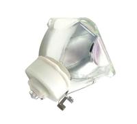 CNJWBGCJ de projecteur adaptée for NEC NP17LP UM330W UM330X des pièces de rechange