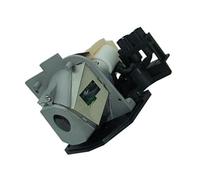 CNJWBGCJ de projecteur avec boîtier, Convient à Optoma BL-FS180B SP 88N01G C01 DS312 DS315 DX609i DX609V DX615 EP620 EP720 EP720i EP721 EP721i des pièces de rechange