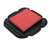 Cnornus Filtre à Air pour Suzuki DL 650 V-Strom 04-20 / DL 1000 V-Strom 02-10 / Kawasaki KLV1000 04-06