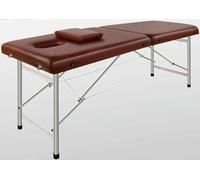 CNPRAZ Camille De Massage Pliable en Aluminium, Camille De Dépilation pour Spa, Table Pliable pour Salon De Tatouages du Visage, avec Sac De Transport