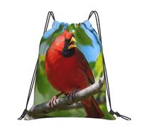 CNTDBU Grand sac à dos Cardinal d'Amérique du Nord - Imperméable et léger - Pour la gym, le sport, le sac à dos décontracté avec cordon de serrage pour les voyages et la randonnée