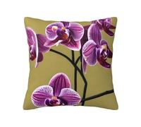 CNTDBU Magnifique housse de coussin carrée double face en peluche avec fermeture éclair dissimulée, housse de coussin décorative pour lit, canapé, voiture