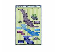 CNTUSRXT Blueberry Ripening Time Chart Garden Guide Poster Modern Wall-Art for Kitchen Decor Dining Room Home Office Art Print(Framed,08x12inch(20x30cm))