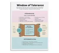 CNTUSRXT Nervous System Window Poster Mental Health Tolerance Reference | Maps relationship between felt social engagement and cognitive flexibility(Unframed,16x24inch(40x60cm))