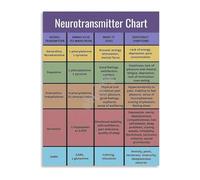 CNTUSRXT Neuroanatomy Study Guide Brain Stem Midbrain Pons Medulla Oblongata and Cranial Nerves Chart(Unframed,12x18inch(30x45cm))