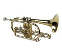 CO50 - Sib Verni - Stock B