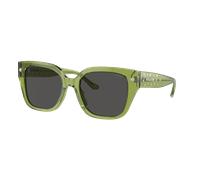 Coach Femme Sunglass HC8392U CR611 - Couleur du Monture: Transparent Key Lime, Couleur de Lentille: Gris uni