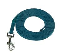 Puppy Training Line Coachi - Propreté, sauts, fuite, évitement de certains lieux, mâcher, savoir-vivre, facile à utiliser, laisse légère pour la maison. Convient aux chiots et aux nouveaux chiens