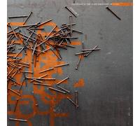 Coalescence Of Time: Other Conjectures On Future