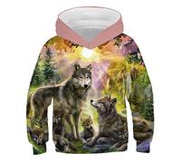COAOBO Pull À Capuche Unisexe 3D pour Enfant,Automne Hiver Enfants Garçon Vêtements À Manches Longues Garçons Loup Sweatshirts Outwear 4-14Y Enfants Imprimé Animal 3D Vêtements-110Cm
