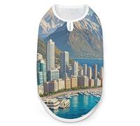 Coastal Cities Chemise pour chien à séchage rapide respirant T-shirt doux et extensible sans manches pour chien M