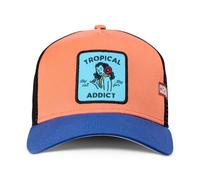 Coastal Hft Tropical Addict Trucker Cap Abricot/Bleu Baseball Chapeau de Maille
