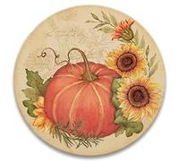 CoasterStone Lot de 4 Dessous de Verre Inclus Motif Citrouille et Tournesol