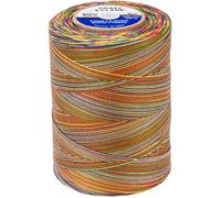 Coats Cotton Machine Quilting Multicolor Thread 1200yd-Mexicana