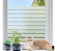 Coavas Film de confidentialité pour fenêtre en Verre dépoli - Revêtement de fenêtre Non adhésif - Film d'intimité décoratif pour Salle de Bain (200 x 60 cm)