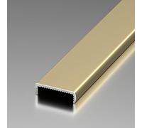 Coayuou Baguette De Finition Carrelage Mural U Metallique 100cm* 3 Pièces Baguette Joint Carrelage Plinthe Aluminium Idéale pour Rénover Votre Maison, Solide Et Durable(Gold,18mm)