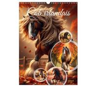 Cob irlandais (Calendrier mural 2027 DIN A3 horizontal), CALVENDO calendrier mensuel: Découvrez la beauté majestueuse des chevaux Cob irlandais