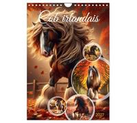 Cob irlandais (Calendrier mural 2027 DIN A4 horizontal), CALVENDO calendrier mensuel: Découvrez la beauté majestueuse des chevaux Cob irlandais