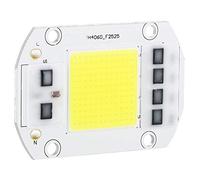 COB LED Blanc Froid, Réglable avec variateur LED, Protection surchauffe intégrée, Accessoire éclairage haute puissance 100W 220V